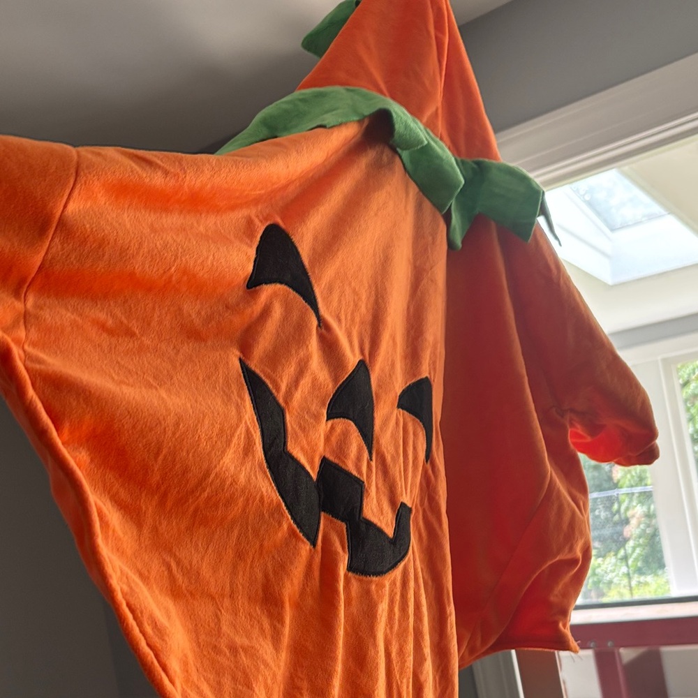 Xl dog pumpkin costume